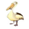 Symbol Pelican