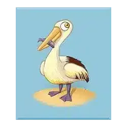 Pelican